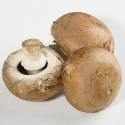 Cogumelo Marron (300g)