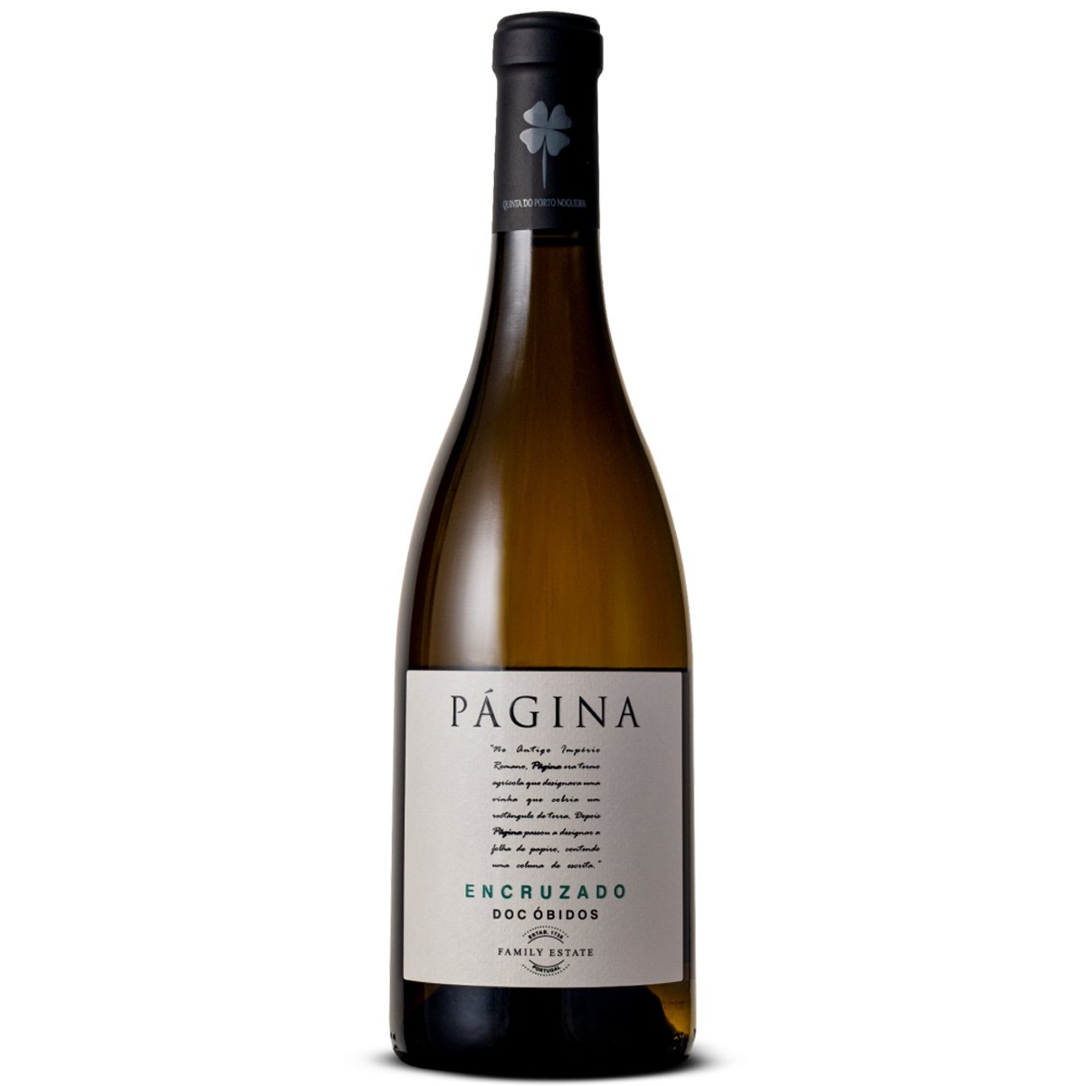 Vinho Branco Página - Encruzado - 750ml