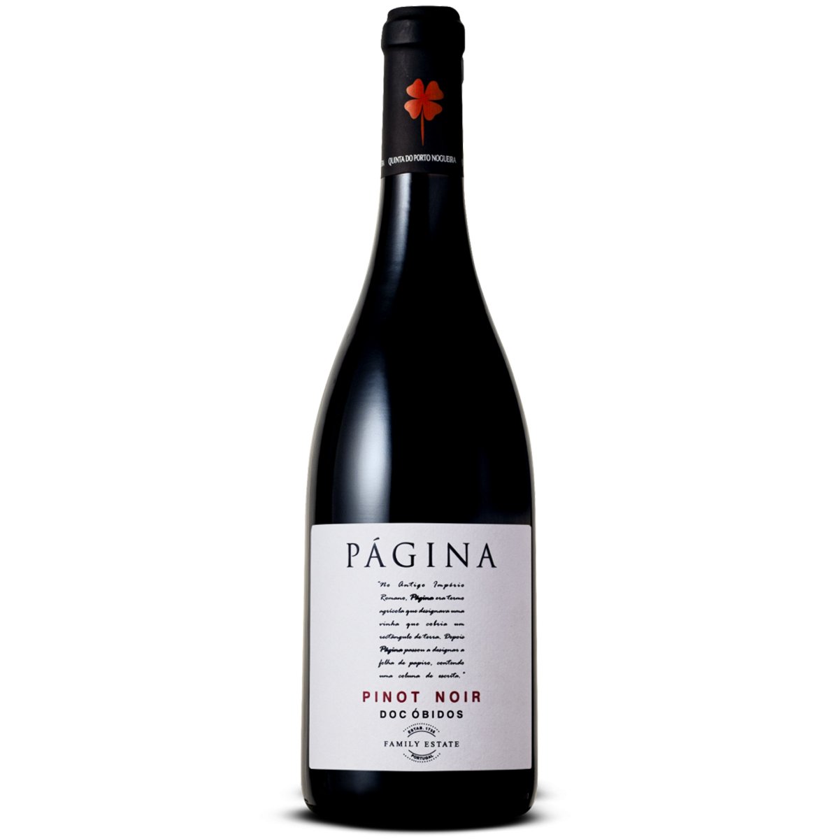Vinho Tinto "Pagina Pinot Noir"-750ml