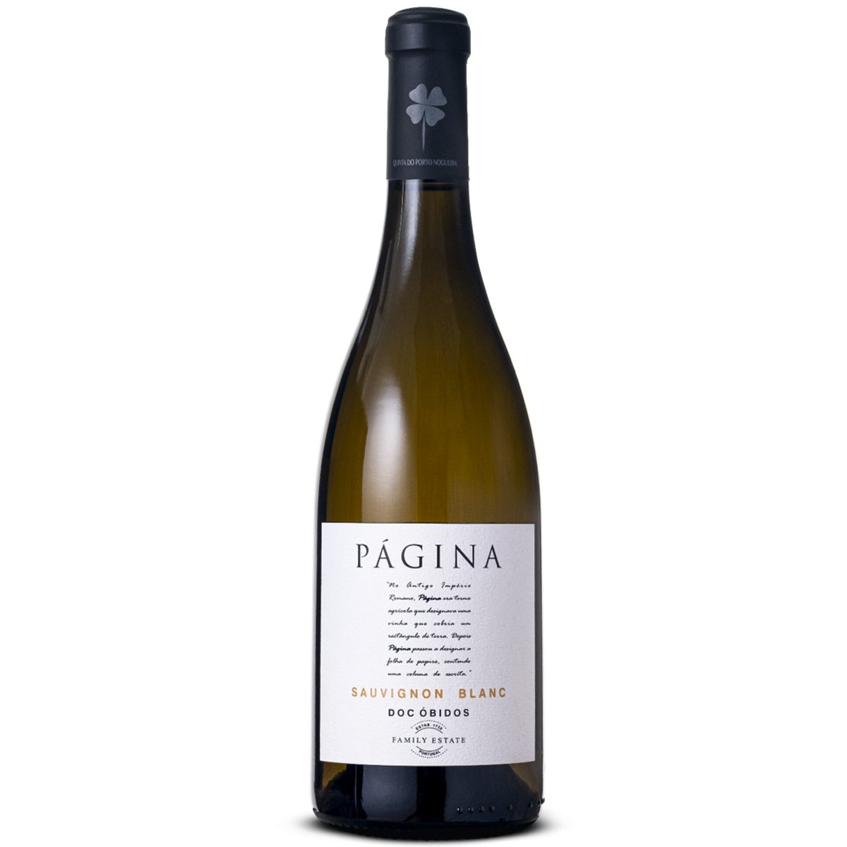 Vinho Branco "Página Sauvingon Blanc"-750ml