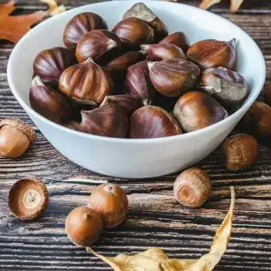 Castanha (500g)