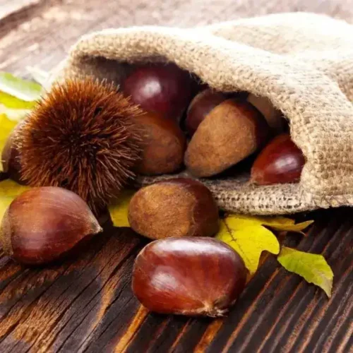 Castanha (500g)