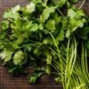 Coentro (molho)