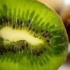 Kiwi (Uni)