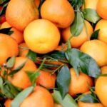 Clementina (500g)