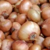 Cebola Branca (Uni)