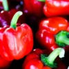 1325-Pimento-Vermelho-e-outros-vegetais-frutas-mercearias-e-cabazes-ao-domicilio-com-a-Horta-da-Maria-Portugal-1.webp Pimento Vermelho (Uni)