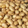 Batata Branca Pequena (500g)