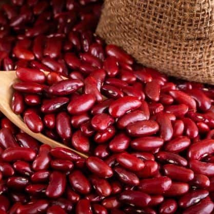 Feijão Vermelho Seco (250g)