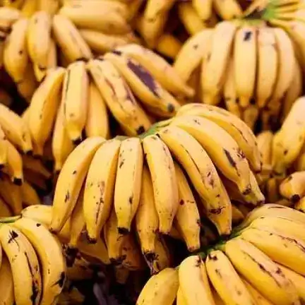 Banana da Madeira (Uni)