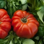Tomate Coração de Boi (Uni)