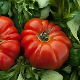 Tomate Coração de Boi (Uni)