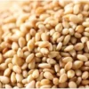Sementes De Sésamo Branco (250gr)