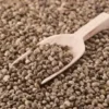 Sementes de Cânhamo (250g)