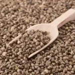 Sementes de Cânhamo (250g)