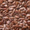 Sementes Linhaça Castanha (250g)