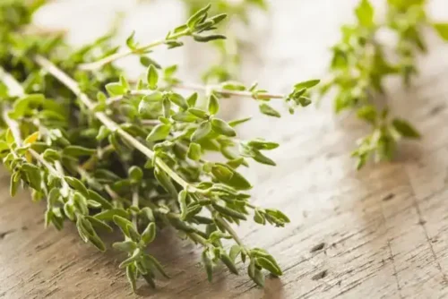 Sal Natural com Tomilho (250g)
