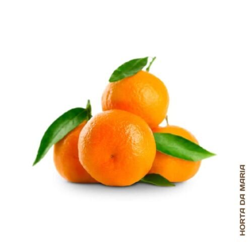 207-Clementina-e-outras-frutas-vegetais-mercearias-e-cabazes-ao-domicilio-com-a-Horta-da-Maria-Portugal.jpg Clementina (500g)