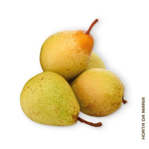 Pêra Rocha (Uni)