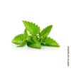 265-Erva-Cidreira-e-outras-vegetais-fruta-mercearias-e-cabazes-ao-domicilio-com-a-Horta-da-Maria-Portugal.jpg Erva Cidreira (molho)