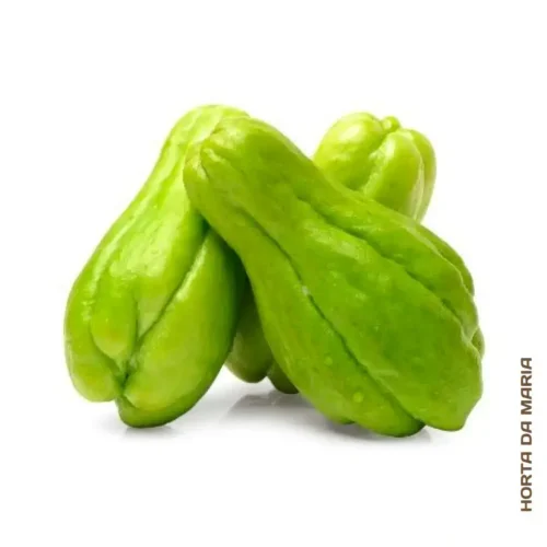 329-Chuchu-Verde-e-outros-vegetais-frutas-mercearias-e-cabazes-ao-domicilio-com-a-Horta-da-Maria-Portugal-1.webp Chuchu Verde (Uni)