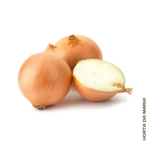 Cebola Branca (Uni)