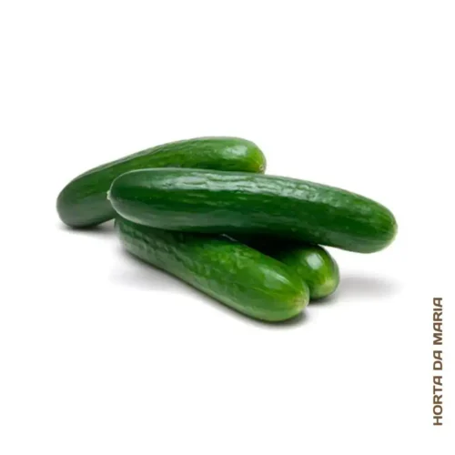 Pepino (Uni)