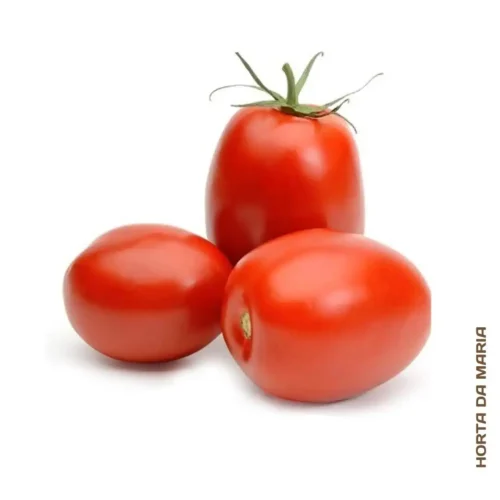 Tomate Chucha (500g)