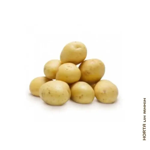 Batata Branca Pequena (500g)