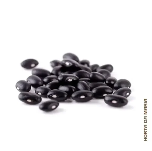374-Feijao-Preto-Seco-assim-como-outras-frutas-vegetais-mercearias-e-cabazes-ao-domicilio-com-a-Horta-da-Maria-Portugal-900x895-1.webp Feijão Preto Seco (250g)