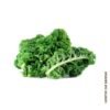 423-Couve-Kale-Verde-outras-frutas-vegetais-mercearias-e-cabazes-ao-domicilio-com-a-Horta-da-Maria-Portugal.jpg Couve Kale Verde (molho)