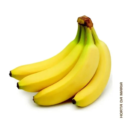 459-Banana-Importada-1.webp Banana Importada Premium(Uni)