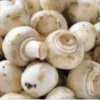 Cogumelos Paris (300g)