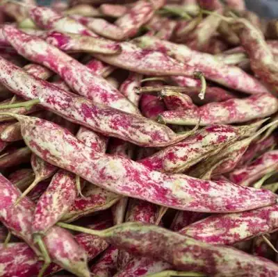 Feijão Catarino Seco Comprido (250g)