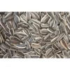Miolo-Girassol1-1.webp Miolo de Girassol Crua (250g)