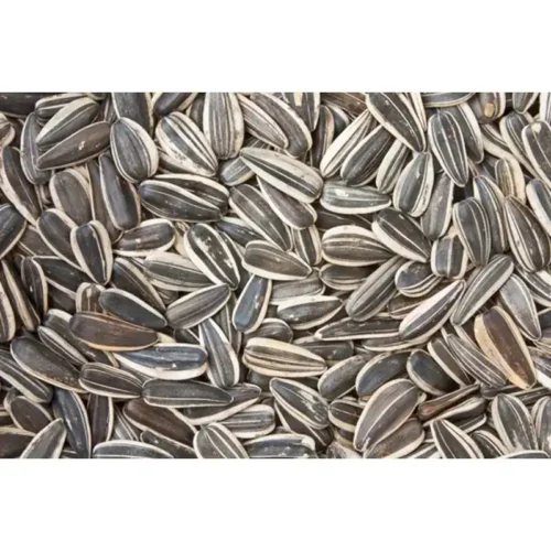 Miolo-Girassol1-1.webp Miolo de Girassol Crua (250g)