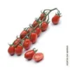 TomateChucha-Hortadamaria.webp Tomate Chucha Mini (500g)