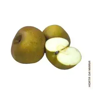 Maçã Reineta Parda (Uni)