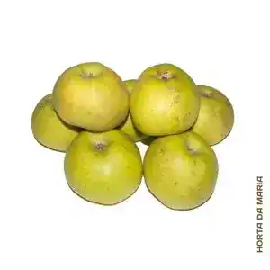 Maçã Reineta Branca (Uni)