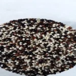 Quinoa Tricolor (250g)
