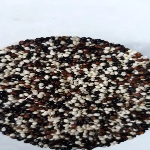 Quinoa Tricolor (250g)