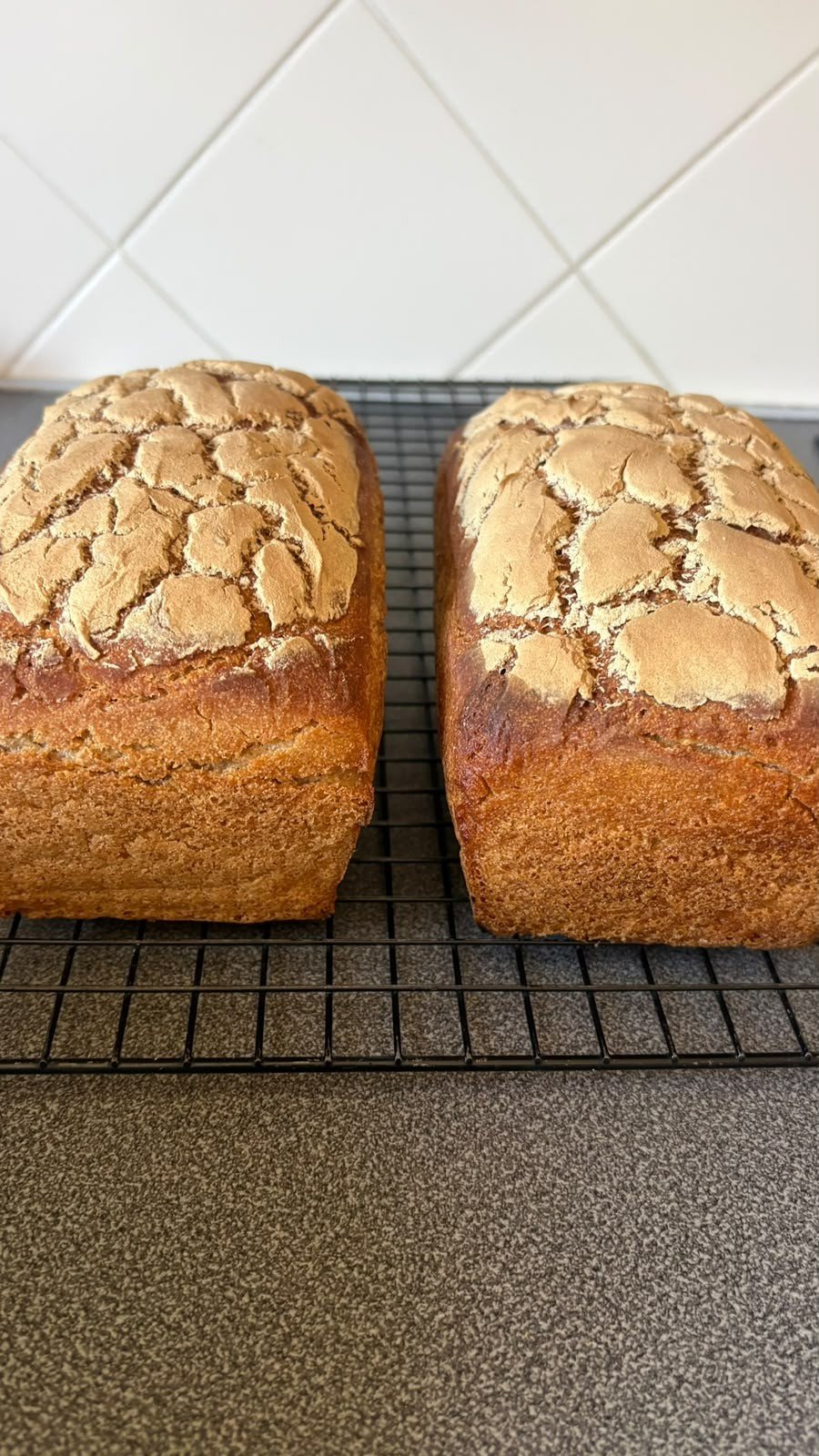 Pão de Massa Mãe Sem Glúten - aprox. 900gr